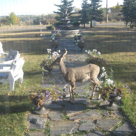 Wakamow Heights Bed And Breakfast Moose Jaw Exterior foto